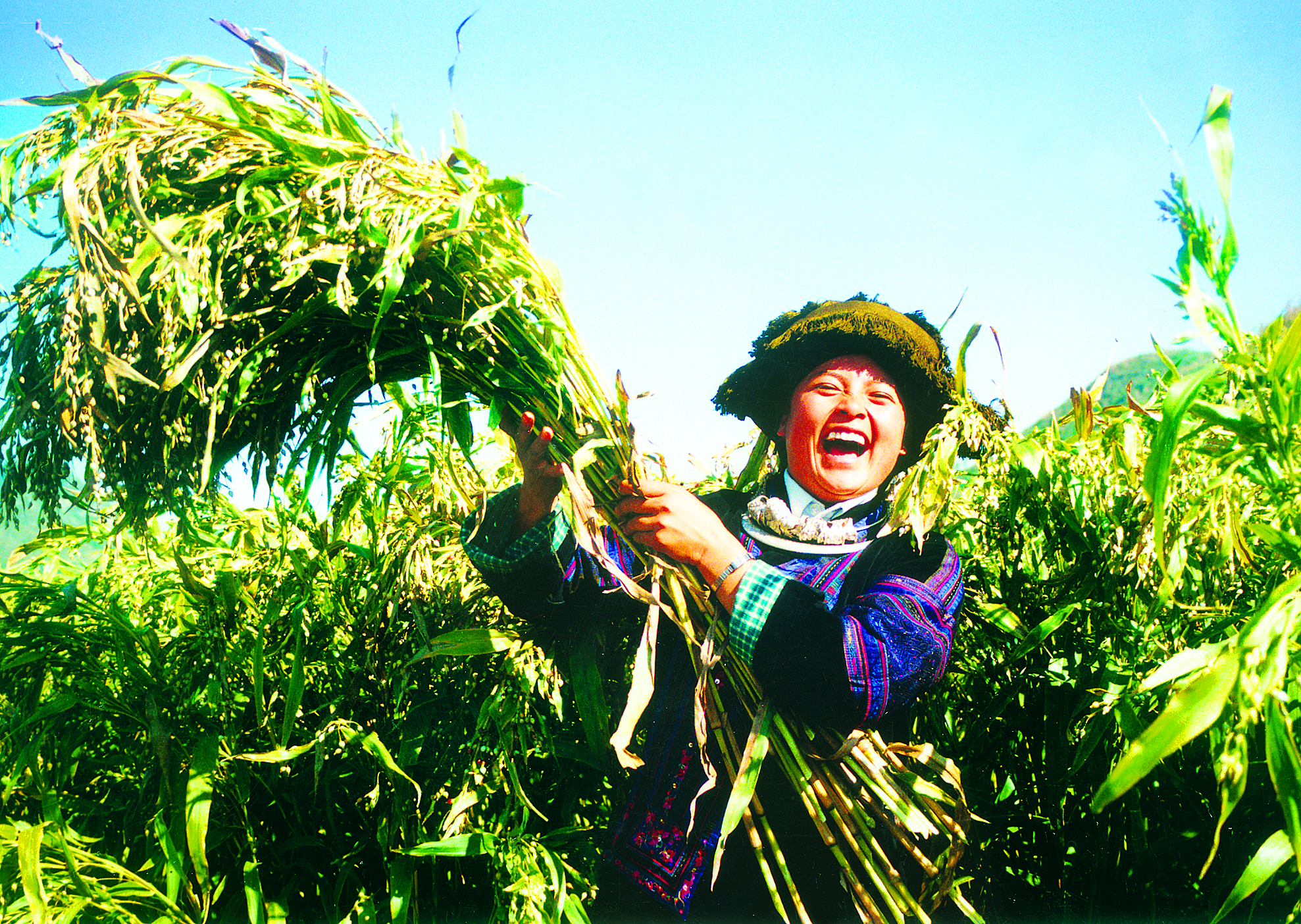 惠黔力推产业集群化发展两年实施特色产业提升项目60个(图3)