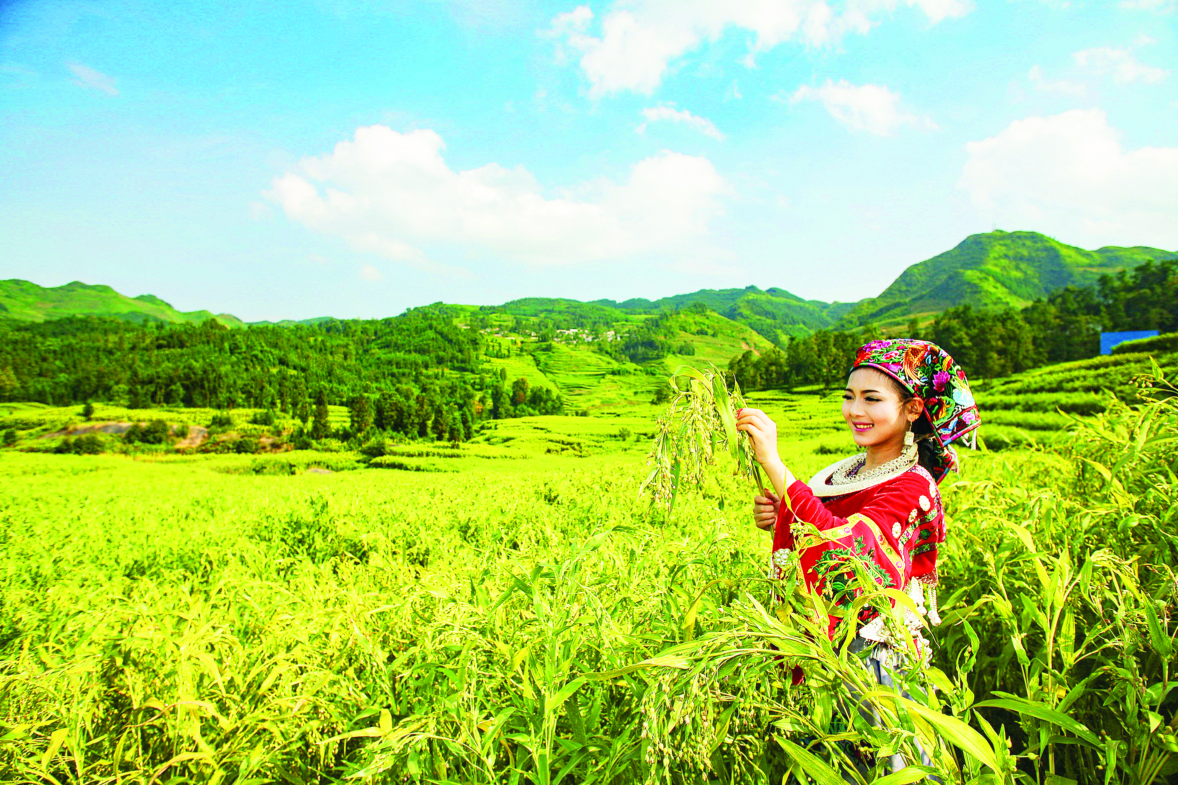 惠黔力推产业集群化发展两年实施特色产业提升项目60个(图4)