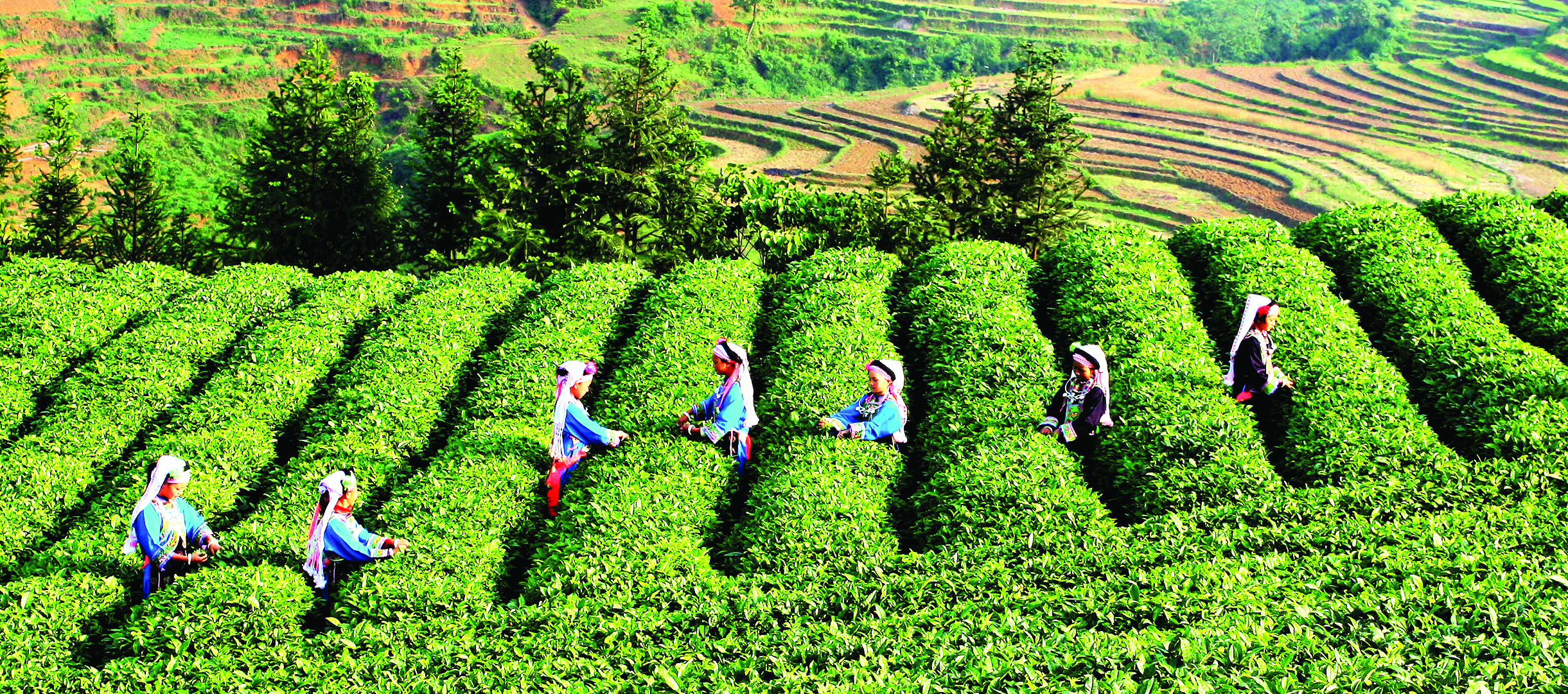 惠黔力推产业集群化发展两年实施特色产业提升项目60个(图5)