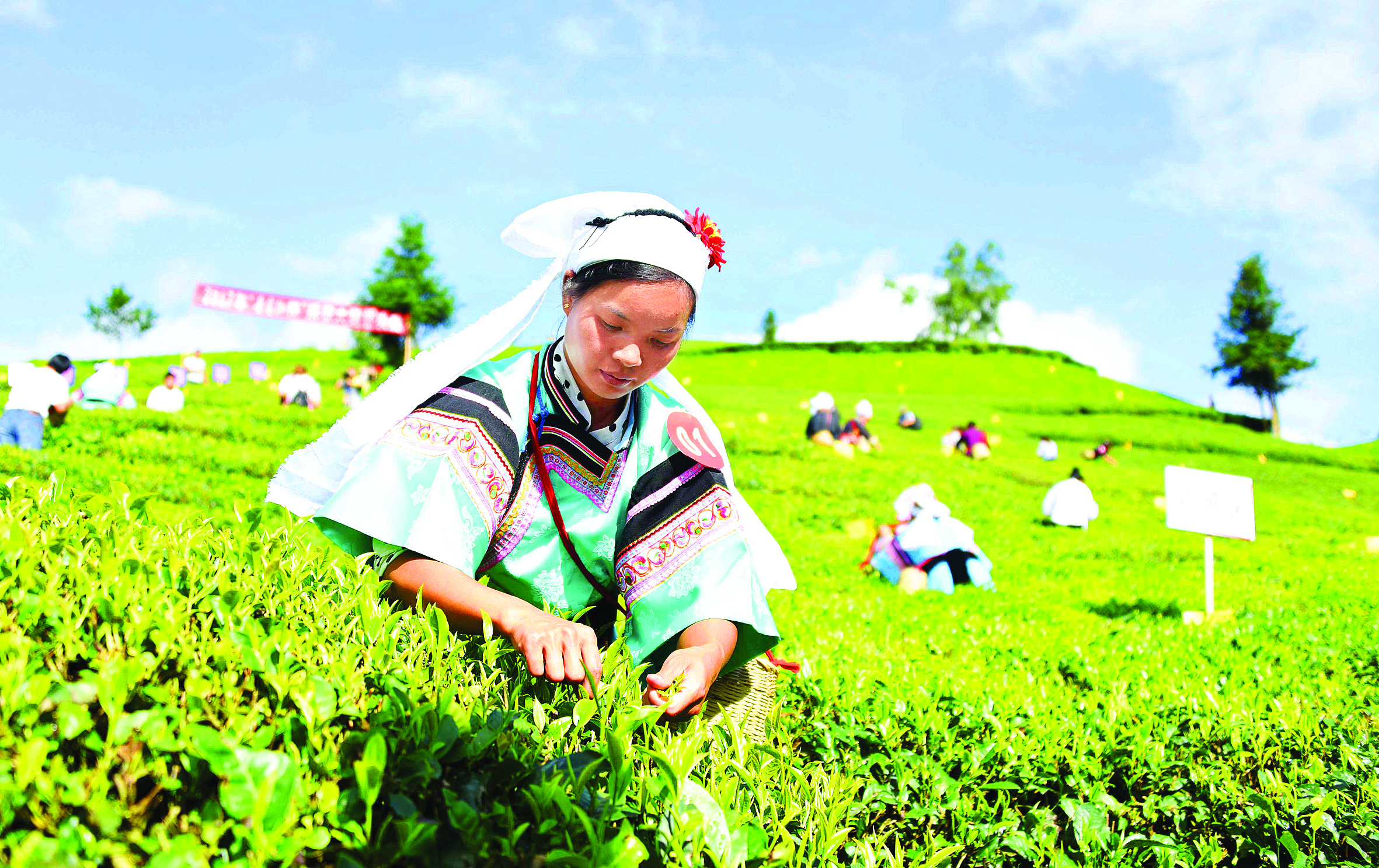 惠黔力推产业集群化发展两年实施特色产业提升项目60个(图6)