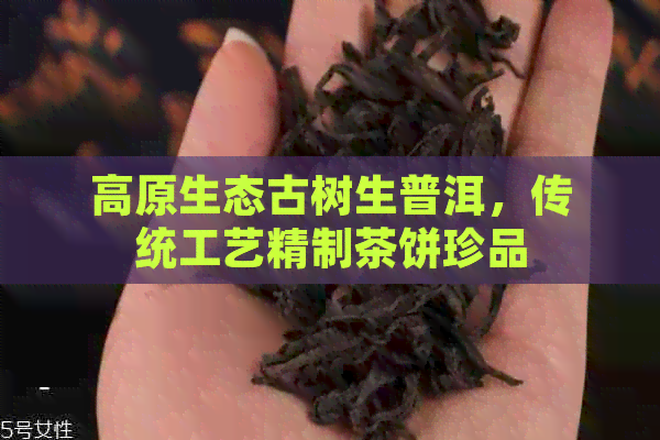PG电子网站高原生态古树生普洱传统工艺精制茶饼珍品(图1)