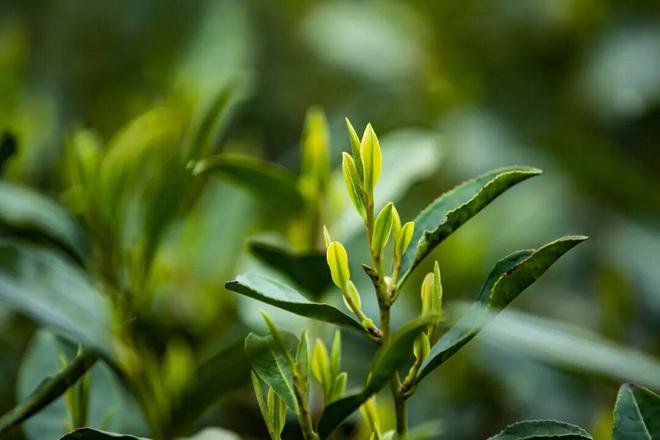 PG平台全国两会闭幕央企“四线开好局(图4)