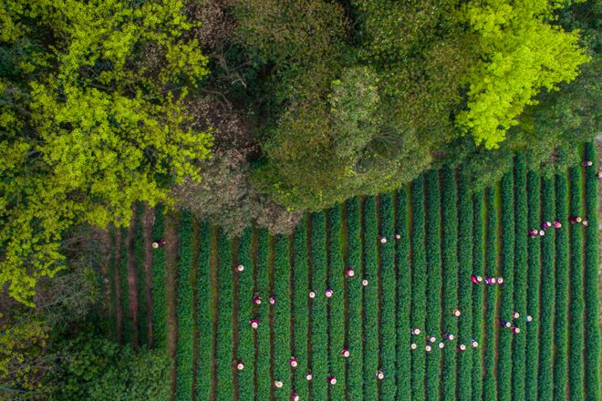 PG平台全国两会闭幕央企“四线开好局(图1)