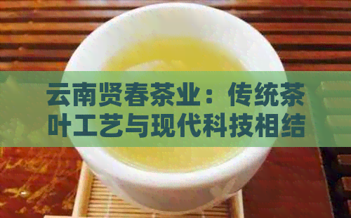云南贤春茶业:传统茶叶工艺与现代科技相结合的创新领导者(图1)