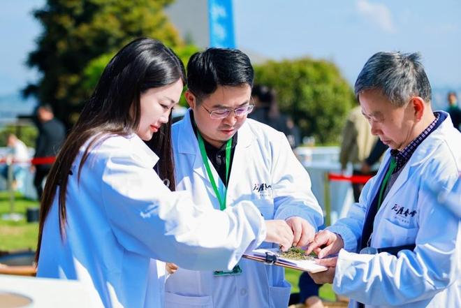 四川洪雅：以茶兴农一叶春雪闯出振兴突围路(图2)