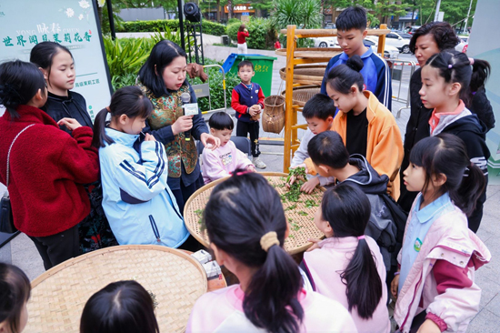 PG电子网站2026广西早春茶系列活动暨横州茉莉花茶品牌推介会启动(图3)