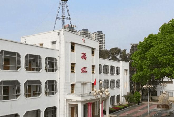 英红九号怎么样？一文解析英红品牌拳头产品(图1)