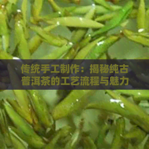 PG电子平台传统手工制作:揭秘纯古普洱茶的工艺流程与魅力(图1)