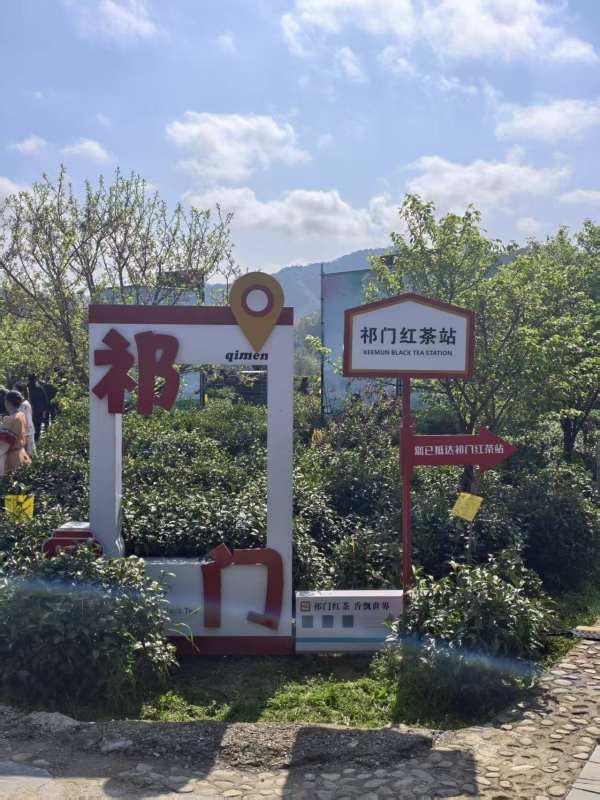 PG电子平台“中国茶世界风”!第三届中国茶品牌文化年会在祁门圆满召开(图3)