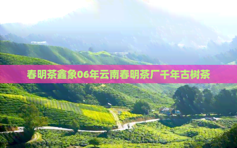 春明茶鑫象06年云南春明茶厂千年古树茶(图1)