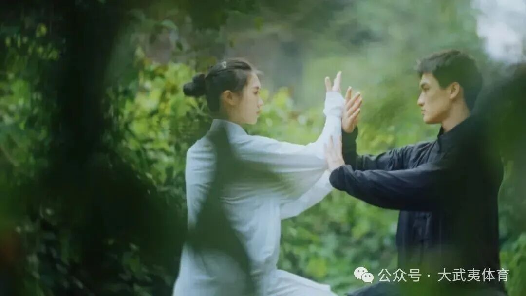 国际太极拳邀请赛｜千名太极高手将齐聚武夷共启万里茶道“人类非遗“盛宴(图4)