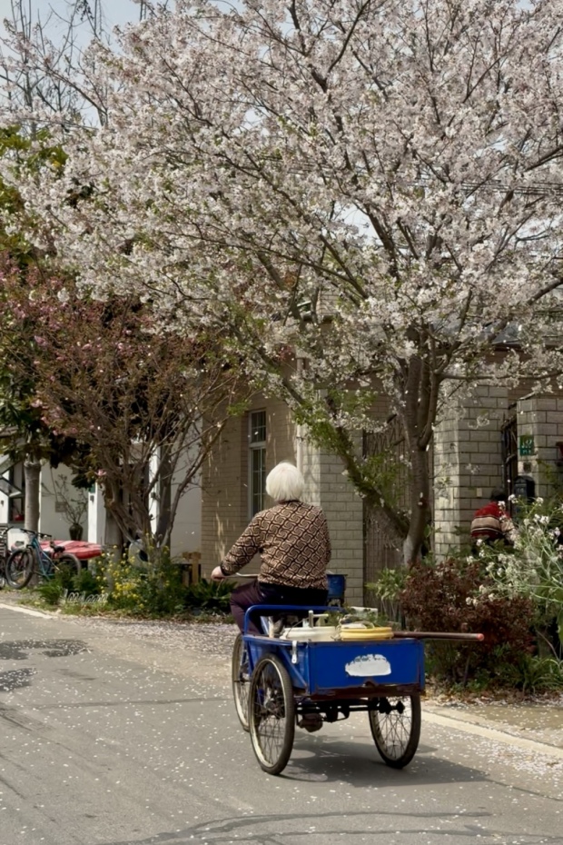 PG电子平台“乡”遇魔都｜网红滤镜之外走进岑卜“新村民”的乡野日常(图2)