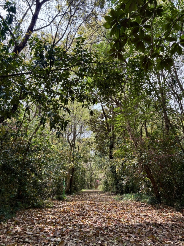 PG电子平台“乡”遇魔都｜网红滤镜之外走进岑卜“新村民”的乡野日常(图3)