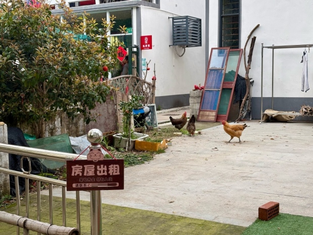 PG电子平台“乡”遇魔都｜网红滤镜之外走进岑卜“新村民”的乡野日常(图8)