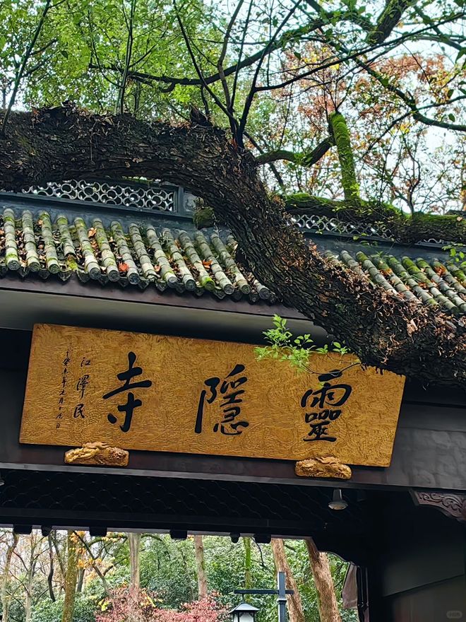 杭州旅游团报名三日游品质纯玩无隐消深度玩转西湖山水(图3)