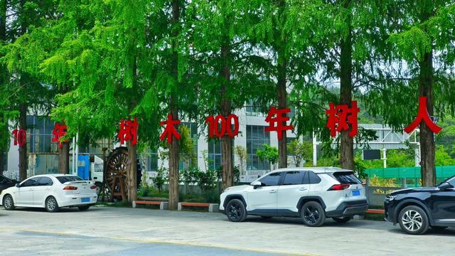 平利县大贵镇中心小学：研学旅行到帝景南山实践课程促学生成长(图8)