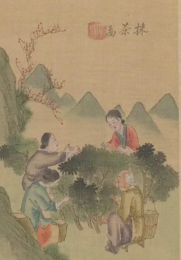 茶景全图传统制茶工艺流程图（甲子年版）(图2)