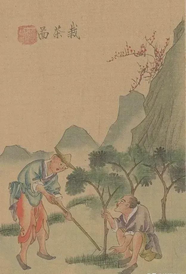 茶景全图传统制茶工艺流程图（甲子年版）(图1)