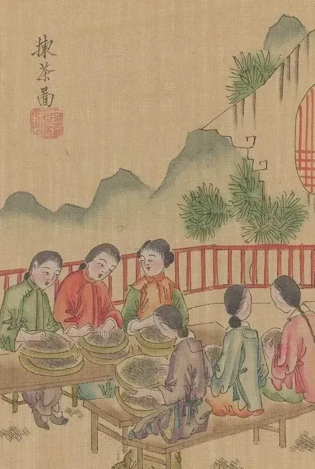 茶景全图传统制茶工艺流程图（甲子年版）(图4)