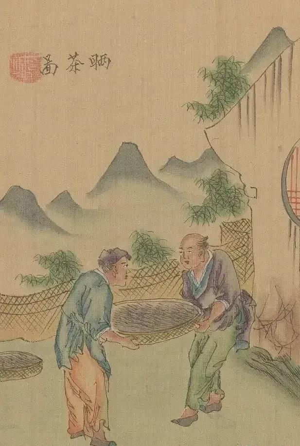 茶景全图传统制茶工艺流程图（甲子年版）(图5)