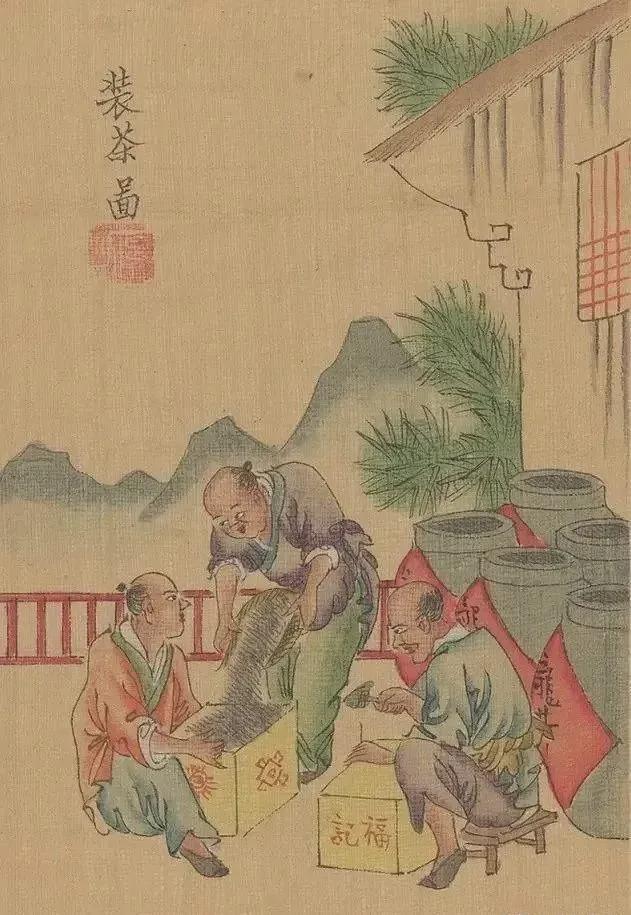 茶景全图传统制茶工艺流程图（甲子年版）(图9)