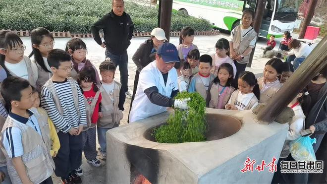 从一片茶叶品读一方水土武都茶文旅融合激活县域发展新动能(图1)