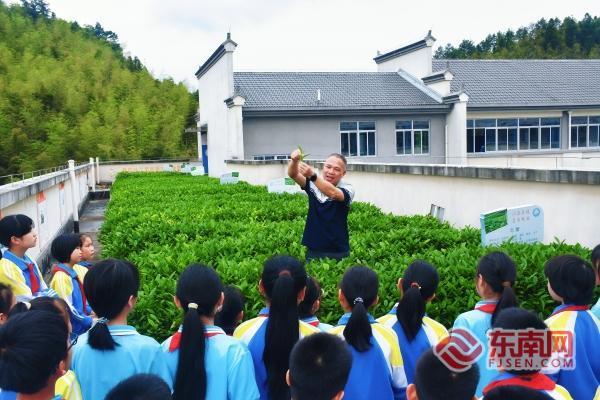 产业强县三明泰宁：富民“金叶子”(图1)