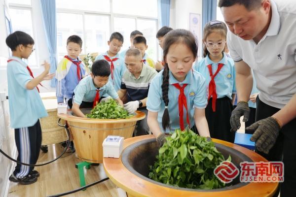 产业强县三明泰宁：富民“金叶子”(图2)