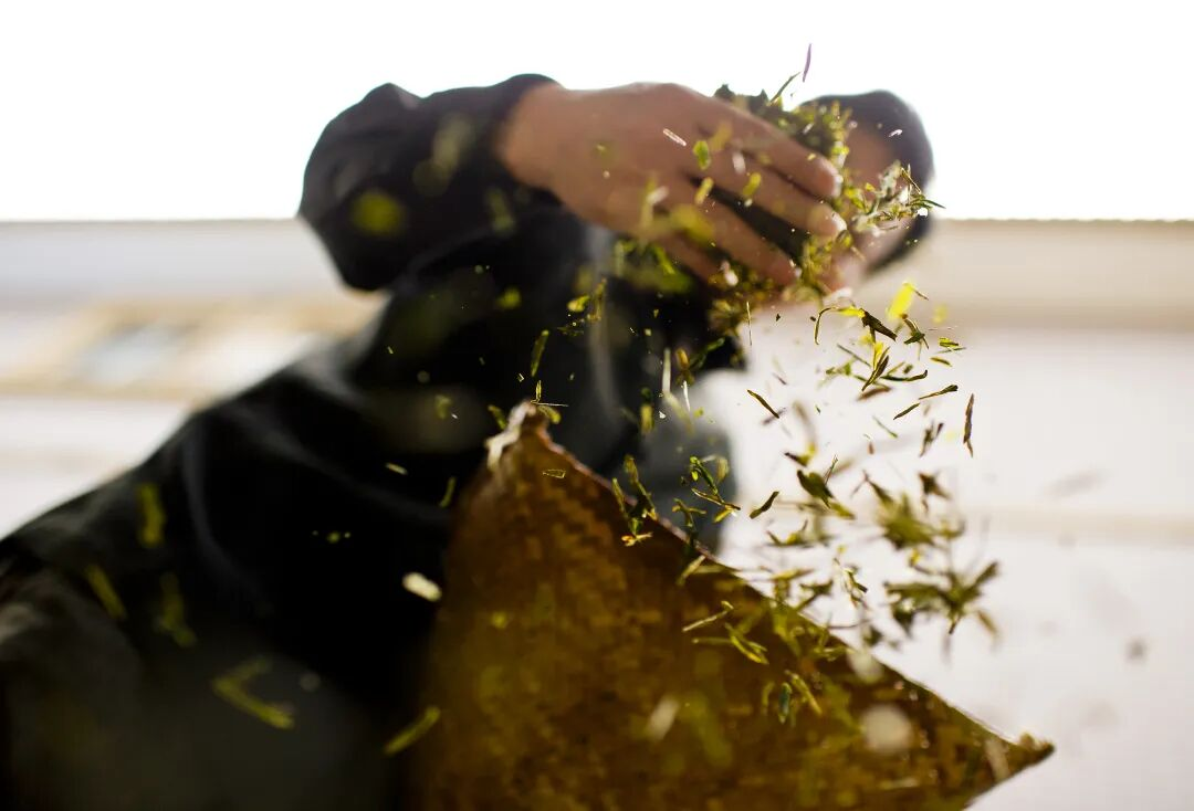 节气里的中国智慧·非遗丨今日谷雨！雨生百谷一缕茶香醉春光(图1)