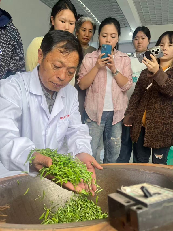 春有约茶不误！制茶大师刘建辉的守艺与突围(图5)