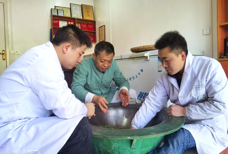 春有约茶不误！制茶大师刘建辉的守艺与突围(图6)