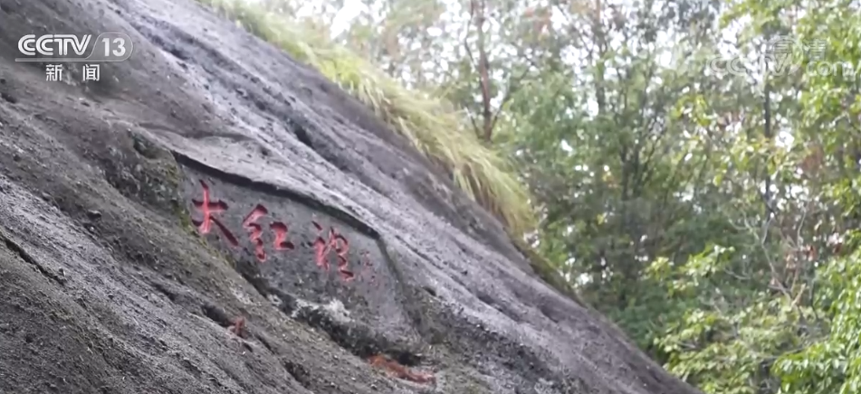 “中国传统制茶技艺及其相关习俗”申遗成功武夷岩茶见证两岸茶缘(图2)