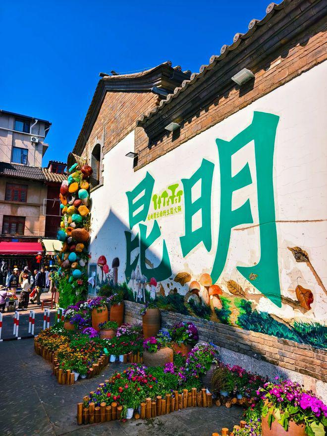 PG平台昆大丽六天五晚舒适住宿昆明大理丽江6天度假游多少钱(图4)